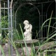  Engelein