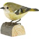  Holzvogel Wintergoldhähnchen 