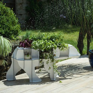 METAMORPHOSE Gro&szlig;e June