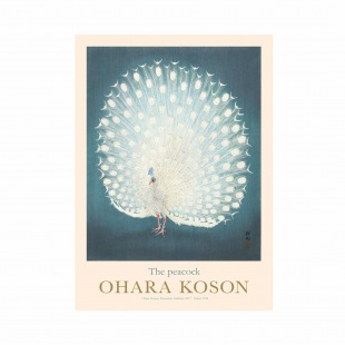 OHARA KOSON PLAKAT Pfau 30 x 40 cmcm