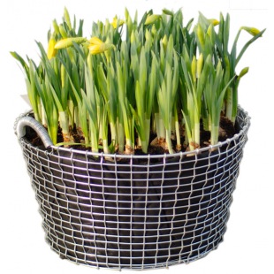 Eisenflechtkorb Classic 35