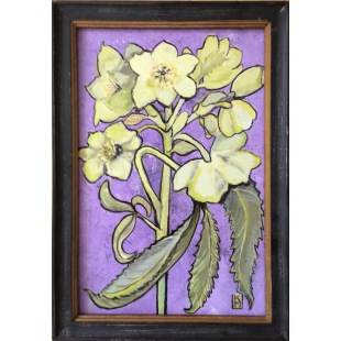 Bild Fr&uuml;hlingsbote Anemone